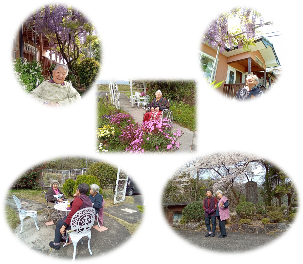 お花見