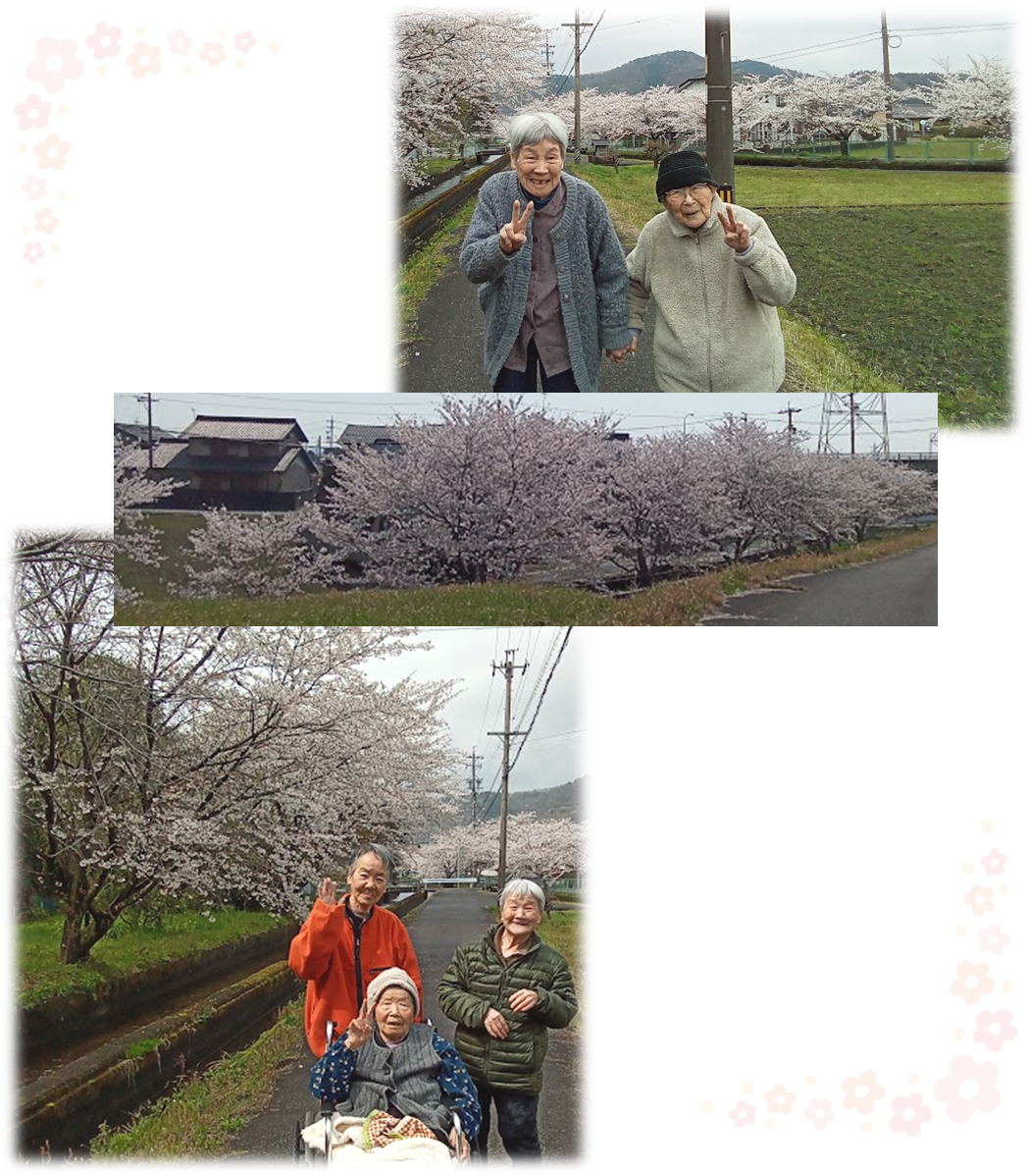 お花見・桜