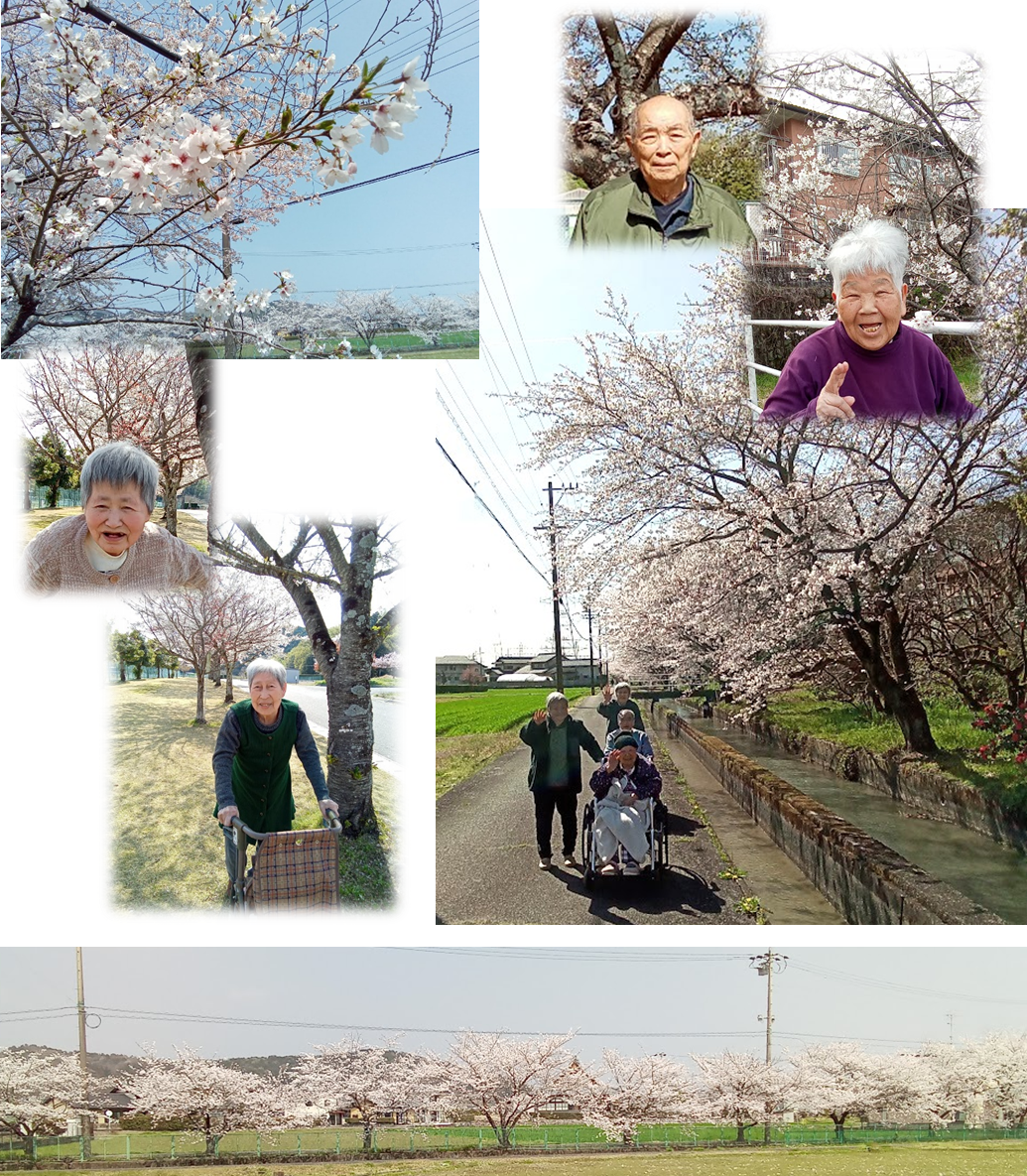 お花見